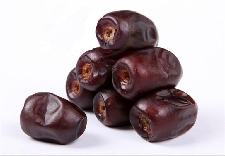 The Largest Date Exporters in the World; An Introduction